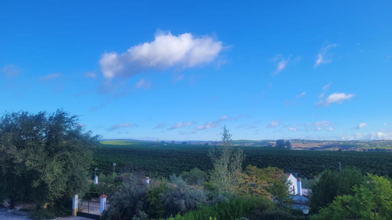 Cantillana Los Candiles מראה חיצוני תמונה